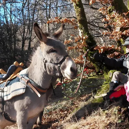 Du Grand Cedre Сasa de vacaciones *